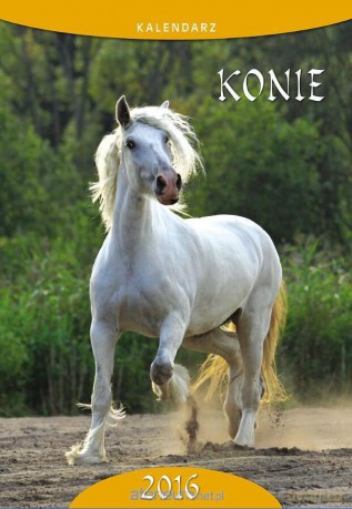 Kalendarz 2016 7PL A4 Konie [KALENDARZ]