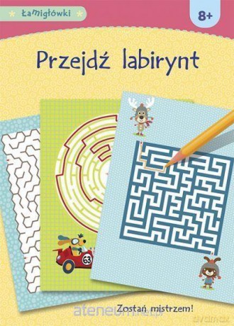 Łamigłówki. Przejdź labirynt [KSIĄŻKA]