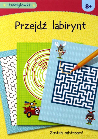 Łamigłówki. Przejdź labirynt [KSIĄŻKA]