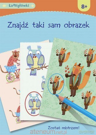 Łamigłówki. Znajdź taki sam obrazek [KSIĄŻKA]