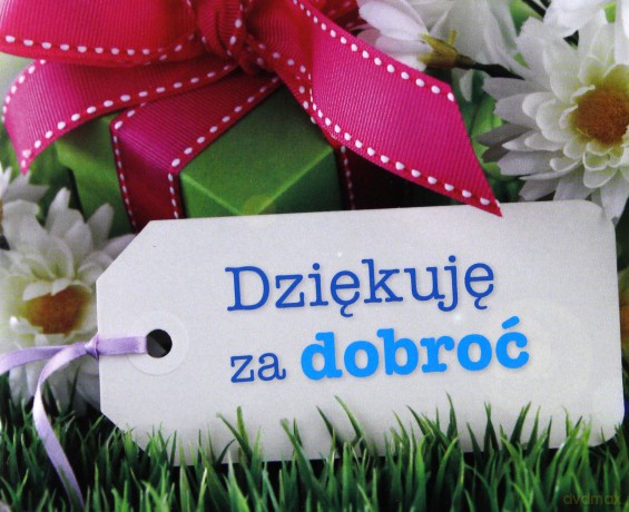 Perełka 265 Dziękuję za dobroć [KSIĄŻKA]