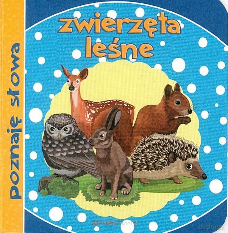 Poznaję słowa. Zwierzęta leśne [KSIĄŻKA]