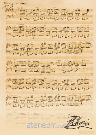 Teczka sepia z motywem nut - Chopin