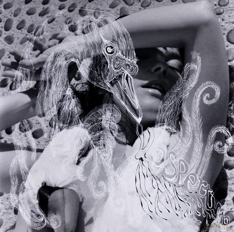Bjork: Vespertine [2xWinyl]
