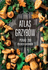 Atlas grzybów - Patrycja Zarawska (twarda) [KSIĄŻKA]