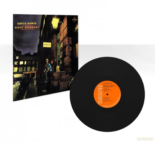 David Bowie: The Rise And Fall Of Zigy Stardust And The Spiders From Mars [Winyl]