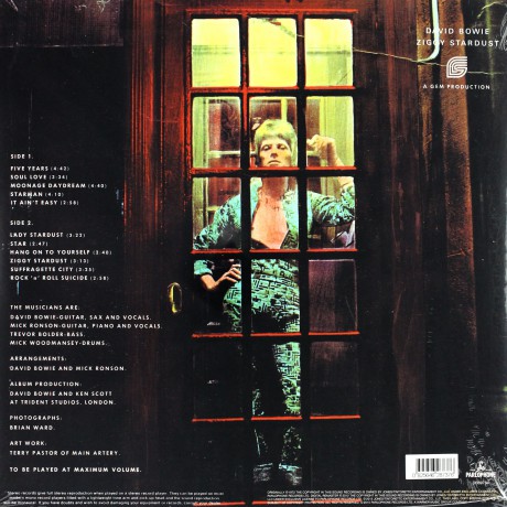David Bowie: The Rise And Fall Of Zigy Stardust And The Spiders From Mars [Winyl]