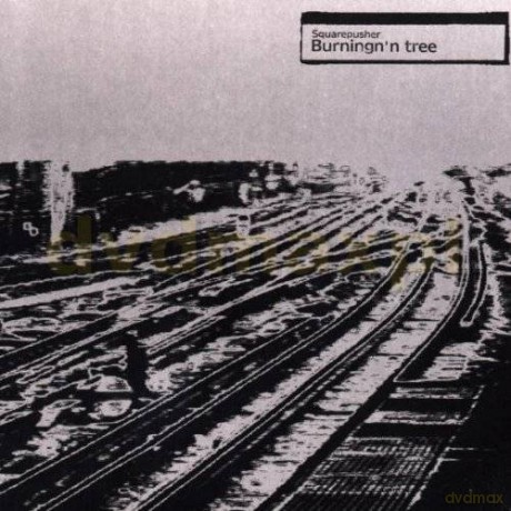 Squarepusher: Burningn\'n Tree [CD]