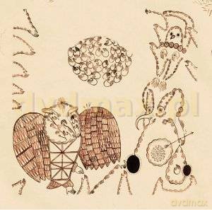 Devendra Banhart: Rejoicing In The Hands [CD]