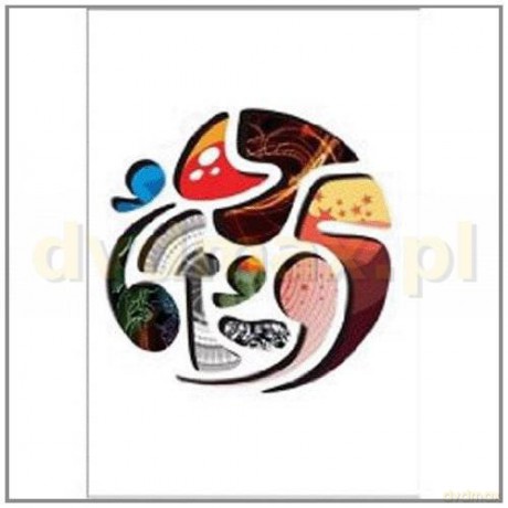 Lemon Jelly: 64-95 [DVD]