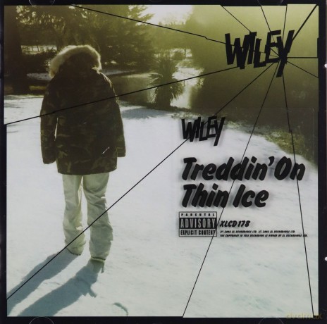 Wiley: Treddin\' On Thin Ice [CD]