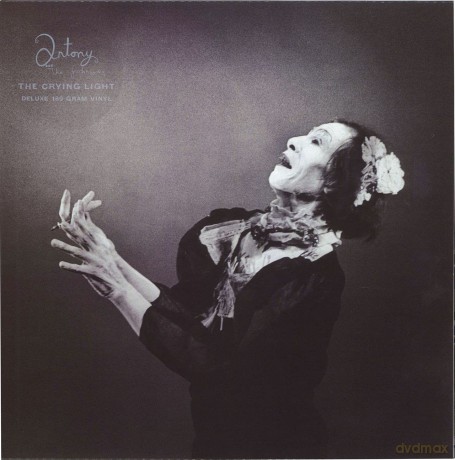 Antony And The Johnsons: The Crying Light [Winyl]