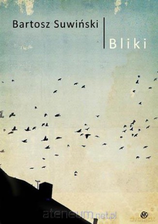 Bliki - Bartosz Suwiński [KSIĄŻKA]