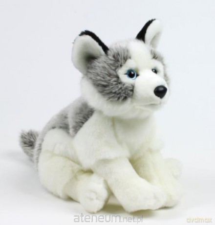 Husky 15 cm