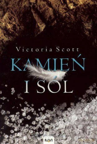 Kamień i sól (Tom 2) - Victoria Scott [KSIĄŻKA]