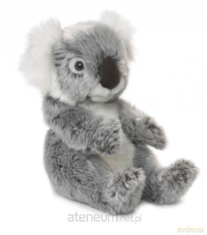 Koala 15 cm