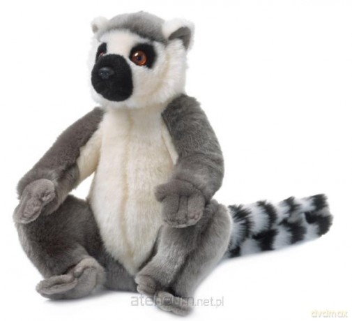 Lemur siedzący 23 cm