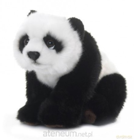 Panda 23 cm