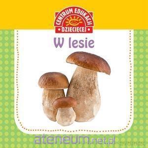 Pierwsza książka dla maluszka. W lesie [KSIĄŻKA]