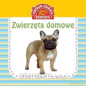 Pierwsza książka dla maluszka. Zwierzęta domowe [KSIĄŻKA]