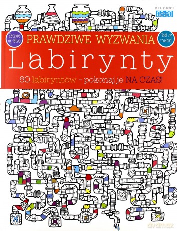 Prawdziwe wyzwania: Labirynty [KSIĄŻKA]