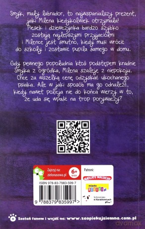 Zaopiekuj się mną. Smyk uprowadzony szczeniak - Holly Webb [KSIĄŻKA]