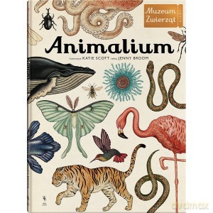 Animalium muzeum zwierząt - Jenny Broom, Katie Scott (twarda) [KSIĄŻKA]