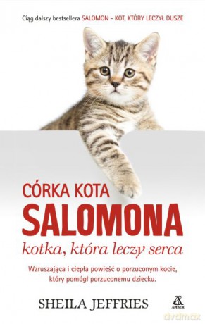 Córka kota Salomona. Kotka, która leczyła serca - Jeffries Sheila [KSIĄŻKA]