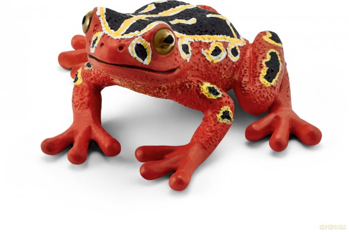 SCHLEICH Afrykańska żaba czerwona [FIGURKA]