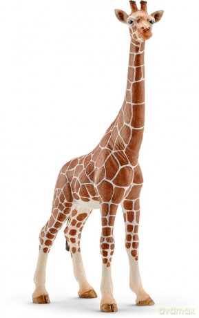 SCHLEICH Samica żyrafy [FIGURKA]