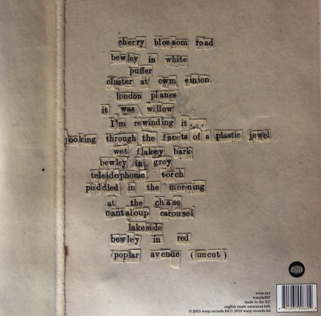 Bibio: Fi [Winyl]