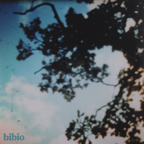 Bibio: Fi [Winyl]