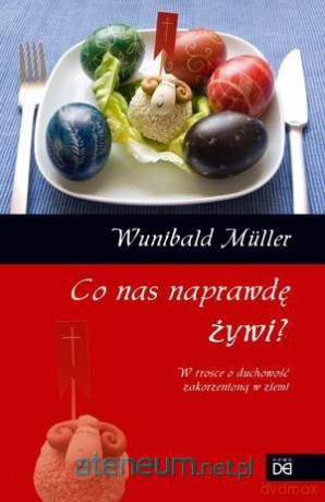 Co nas naprawdę żywi. W trosce o duchowość - Wunibald Muller [KSIĄŻKA]