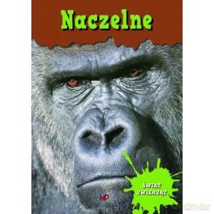 Encyklopedia Świat Zwierząt - Naczelne [KSIĄŻKA]