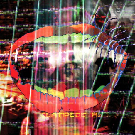 Animal Collective: Centipede Hz (Limited Edition Deluxe) [2xWinyl]