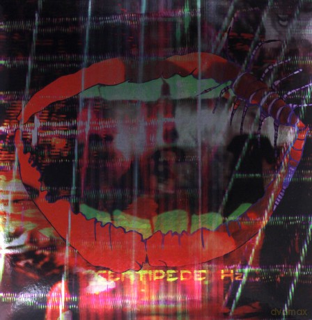 Animal Collective: Centipede Hz (Limited Edition Deluxe) [2xWinyl]