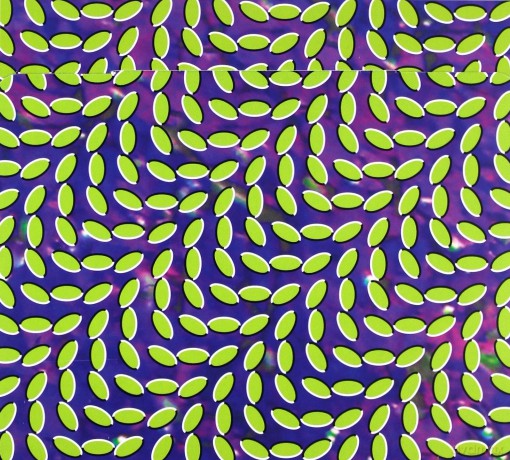 Animal Collective: Merriweather Post Pavilion [CD]