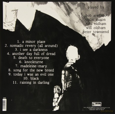 Bonnie Prince Billy: I See A Darkness [Winyl]