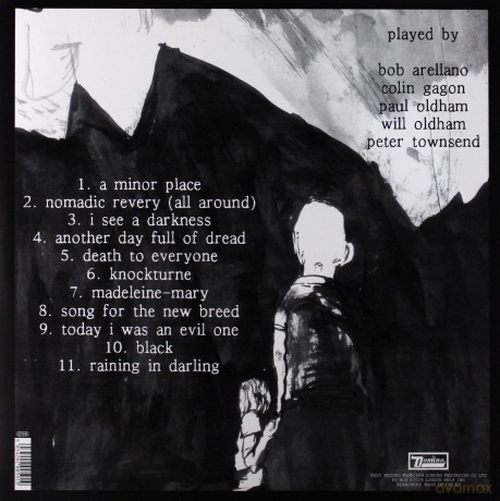 Bonnie Prince Billy: I See A Darkness [Winyl]