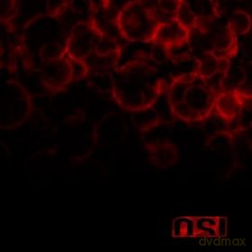 O.S.I: Blood (digipack) [CD]+[DVD]