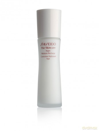 Shiseido The Skincare Night Moisture Recharge 75ml