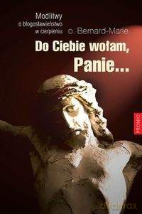 Do ciebie wołam panie. Modlitwy o błogosławieństwo w cierpieniu - Bernard-Marie [KSIĄŻKA]