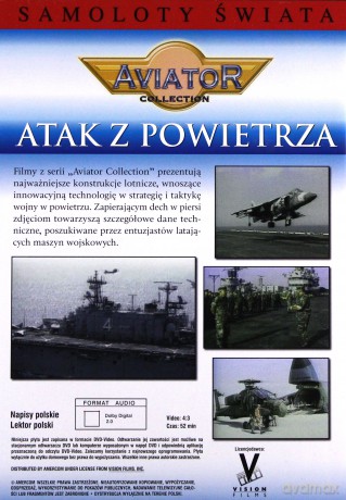 Encyklopedia Samoloty Świata: AIRSTRIKE - Wojna w Zatoce [DVD]