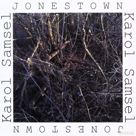 Jonestown - Karol Samsel [KSIĄŻKA]