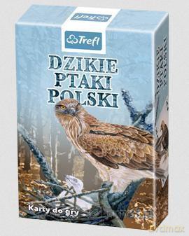 Przyroda Dzikie ptaki Polski [KARTY]