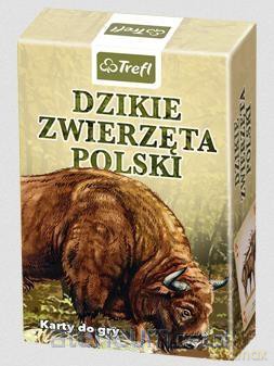 Przyroda Dzikie zwierzęta Polski [KARTY]