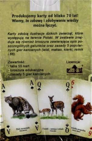 Przyroda Dzikie zwierzęta Polski [KARTY]