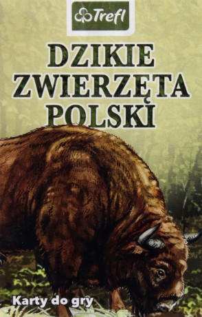 Przyroda Dzikie zwierzęta Polski [KARTY]