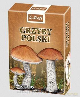 Przyroda Grzyby Polski [KARTY]
