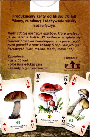 Przyroda Grzyby Polski [KARTY]